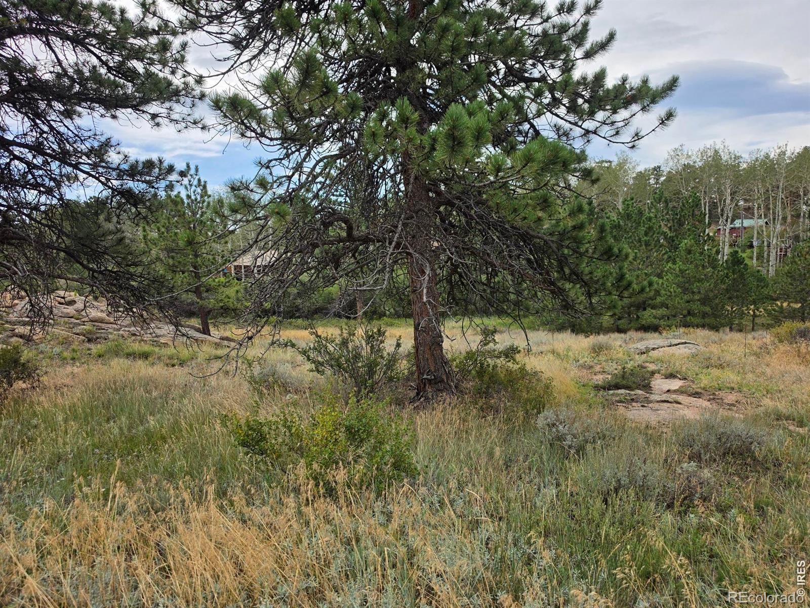 0 Lone Pine Ct, Red Feather Lakes, CO 80545
