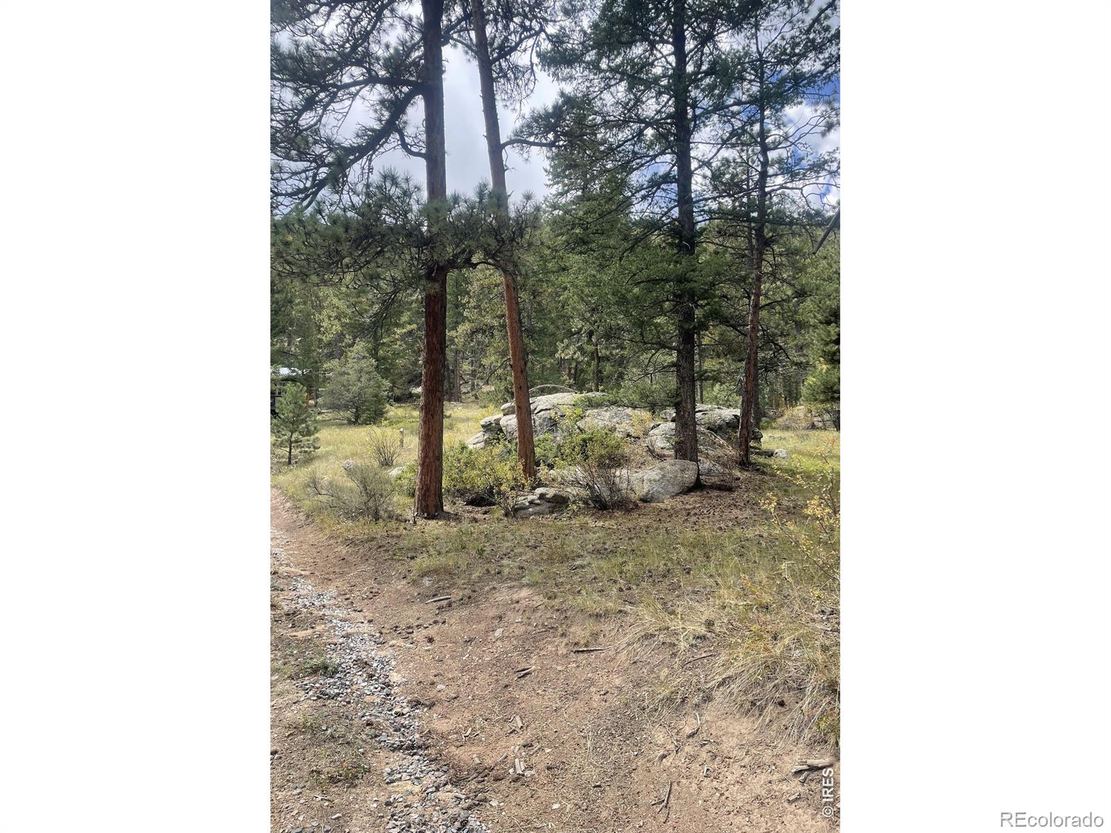 0 Cedar Dr, Lyons, CO 80540