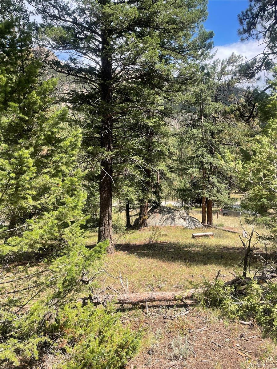 Cedar Dr Lot 26, Lyons, CO 80540
