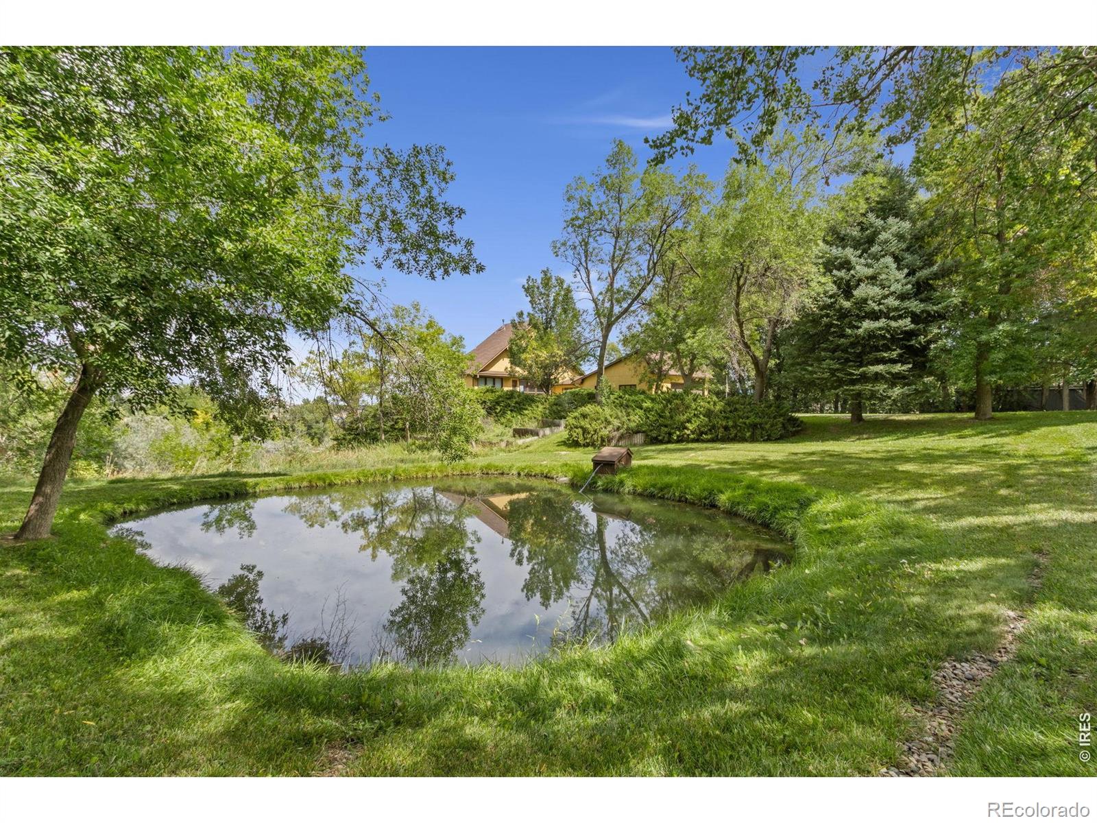 5153 Single Tree Dr, Loveland, CO 80537