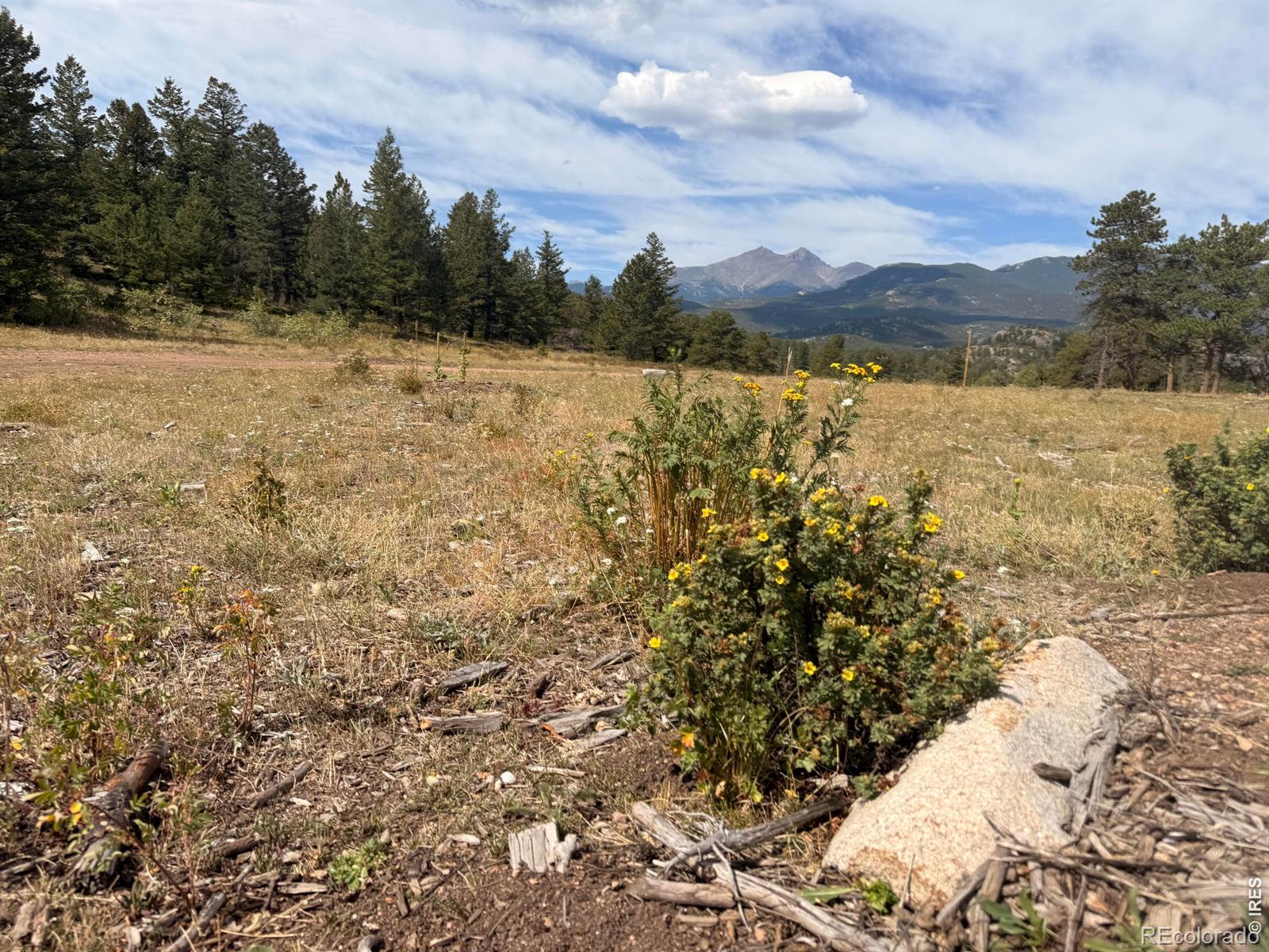 745 Hickory Dr, Lyons, CO 80540