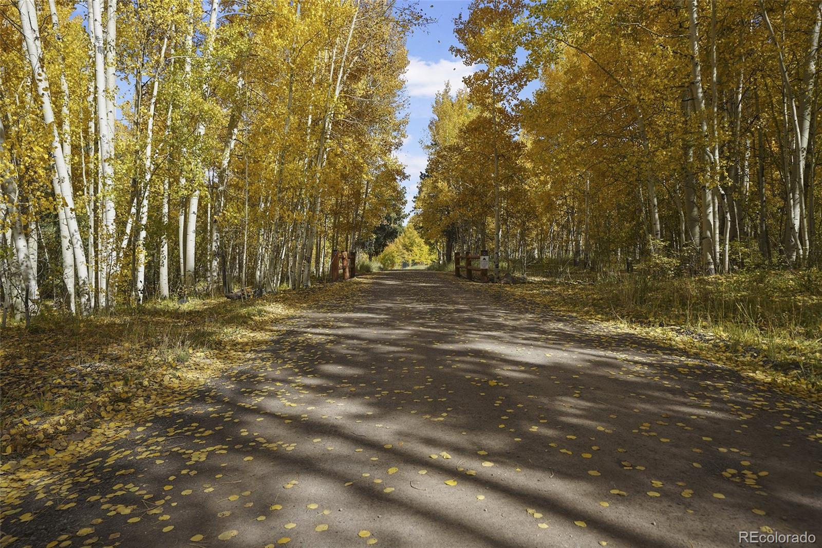 136 Elk Meadow Rn, Antonito, CO 81120