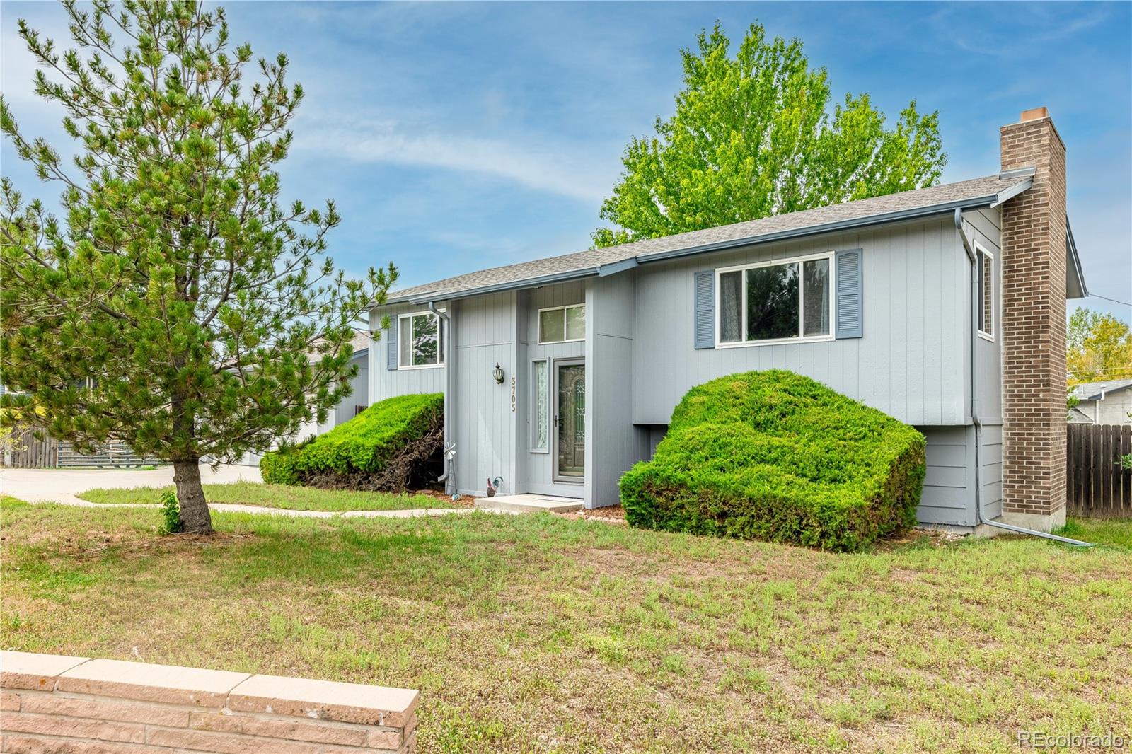 3705 Betty St, Castle Rock, CO 80108
