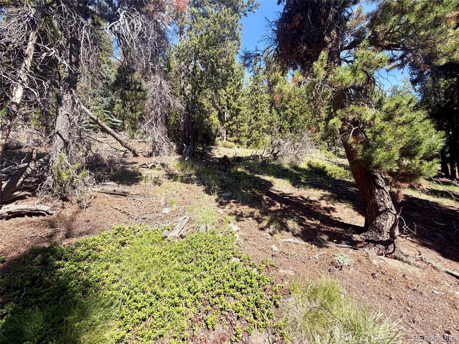 0 Lodgepole Cir, Evergreen, CO 80439