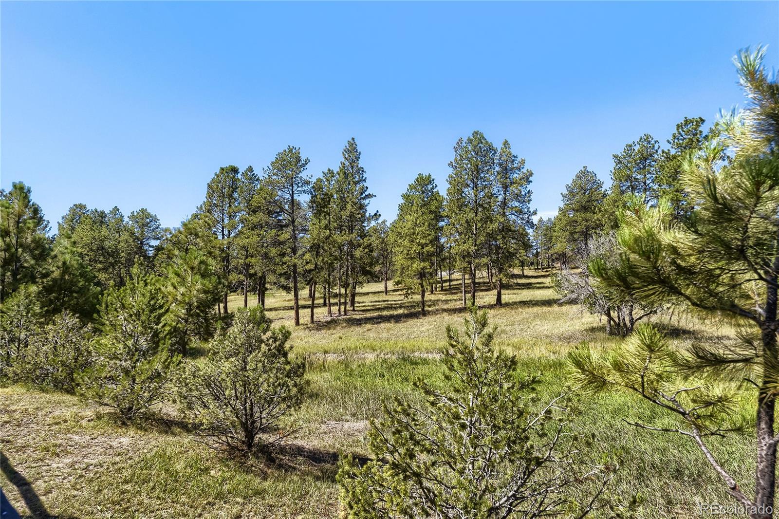 5469 Fox Sparrow Rd, Parker, CO 80134