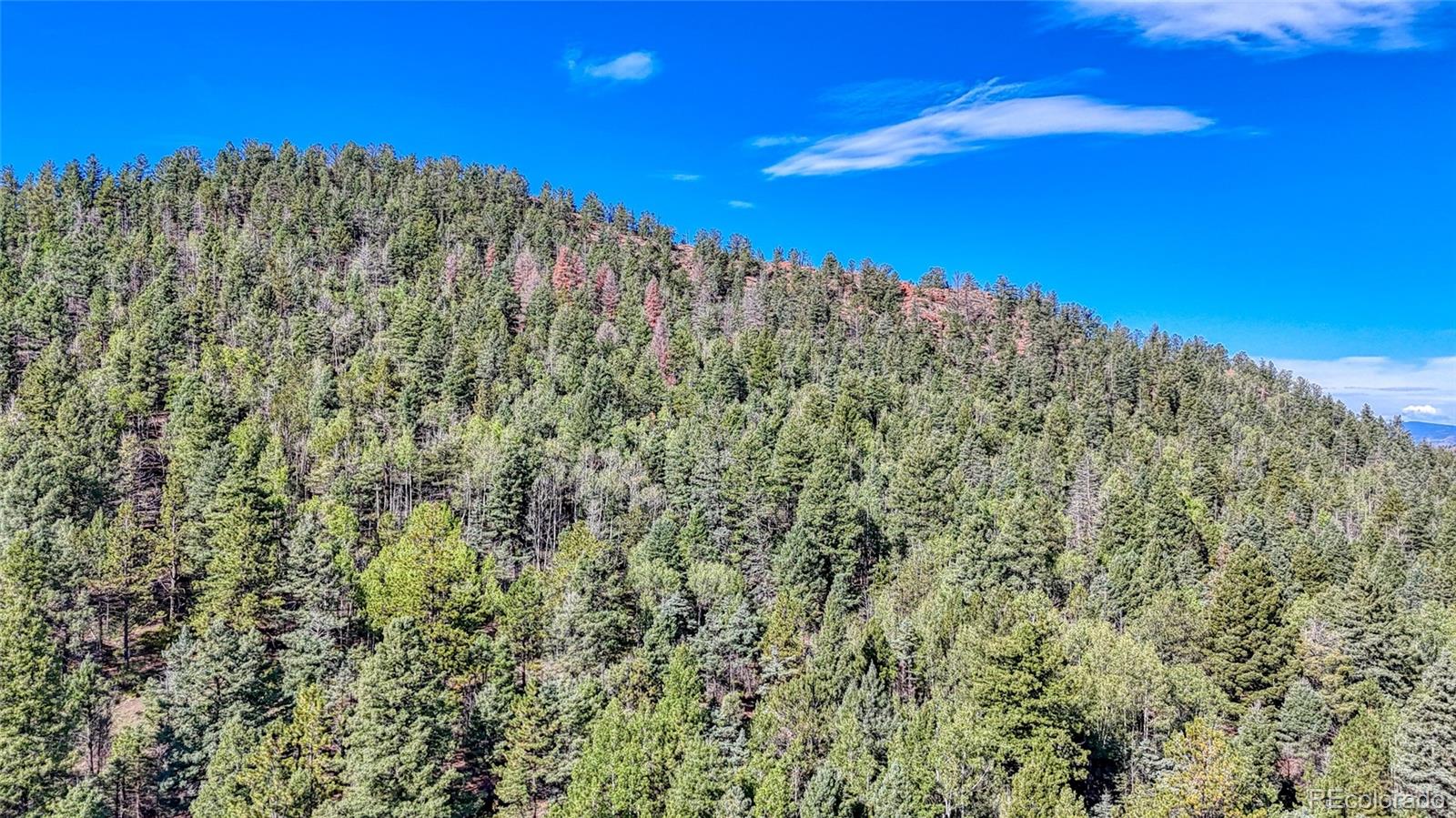 1232 Monarch Dr Lot 72, Cripple Creek, CO 80813