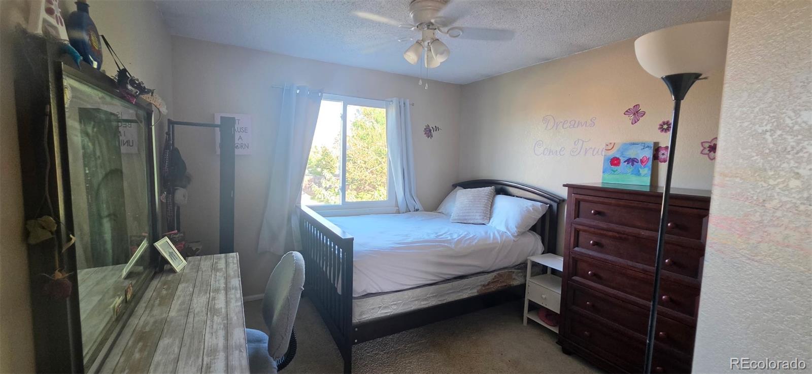 12137 Hudson Ct, Thornton, CO 80241