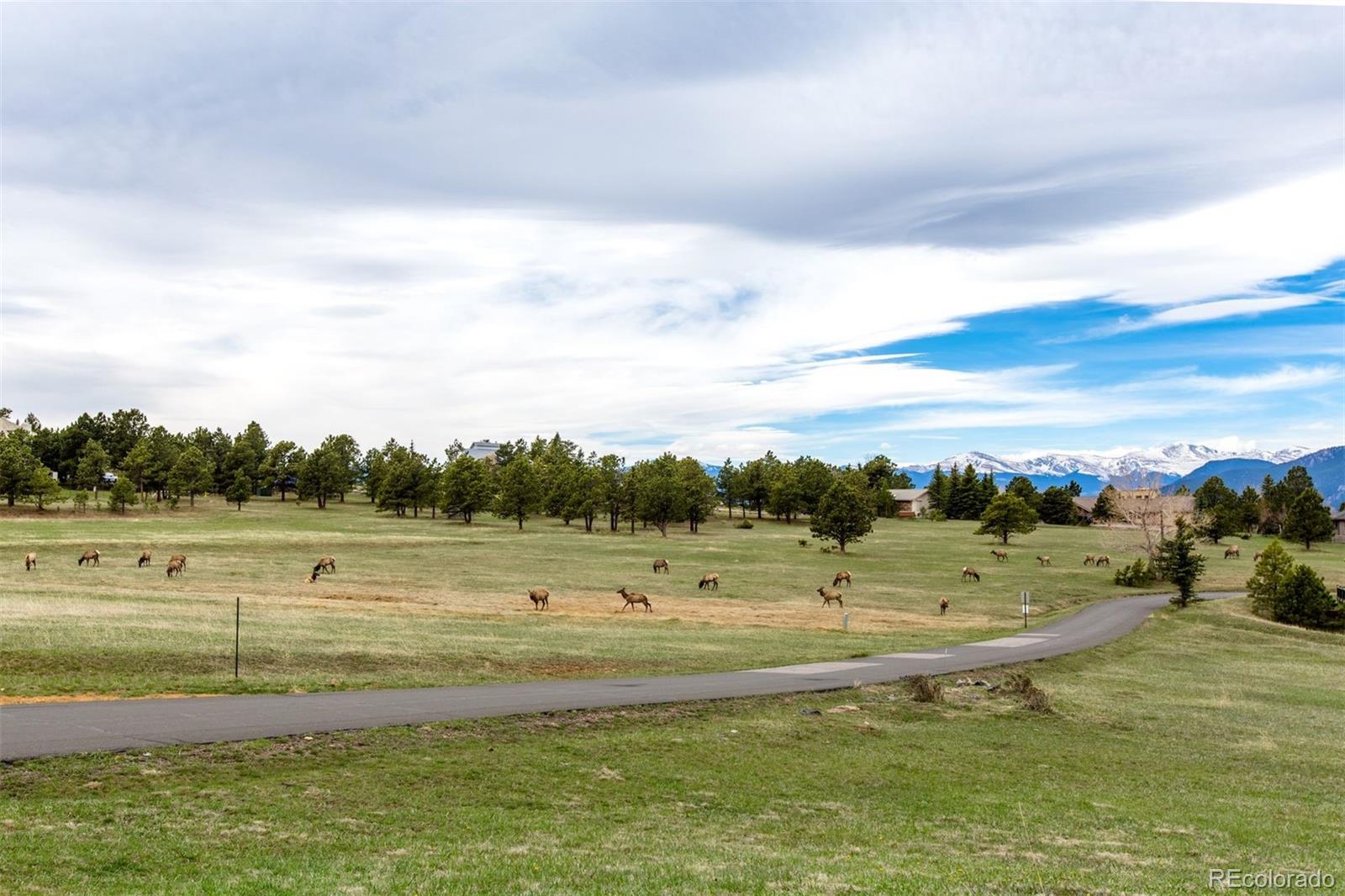 25478 Foothills Dr N, Golden, CO 80401