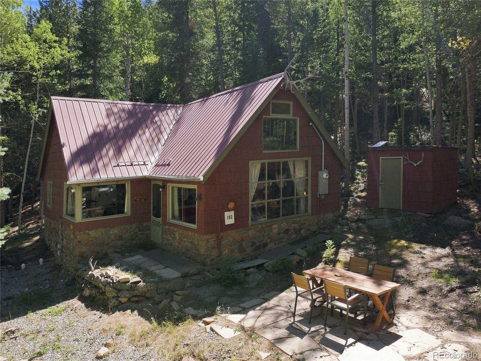 103 Forest Haven Ln, Idaho Springs, CO 80452