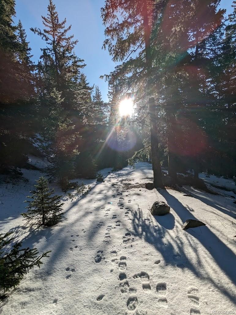 103 Forest Haven Ln, Idaho Springs, CO 80452