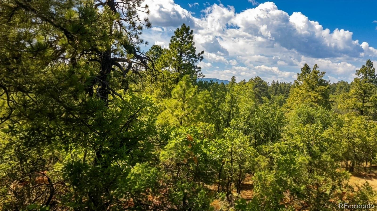 87 Crooked Rd, Pagosa Springs, CO 81147