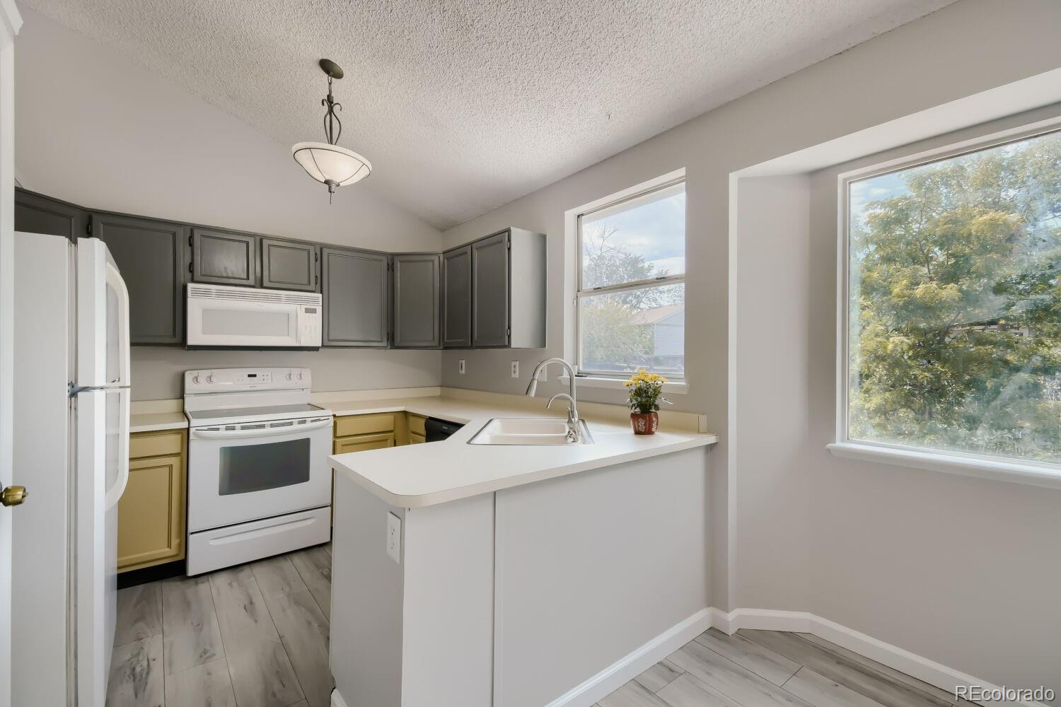 10147 Saint Paul St, Thornton, CO 80229