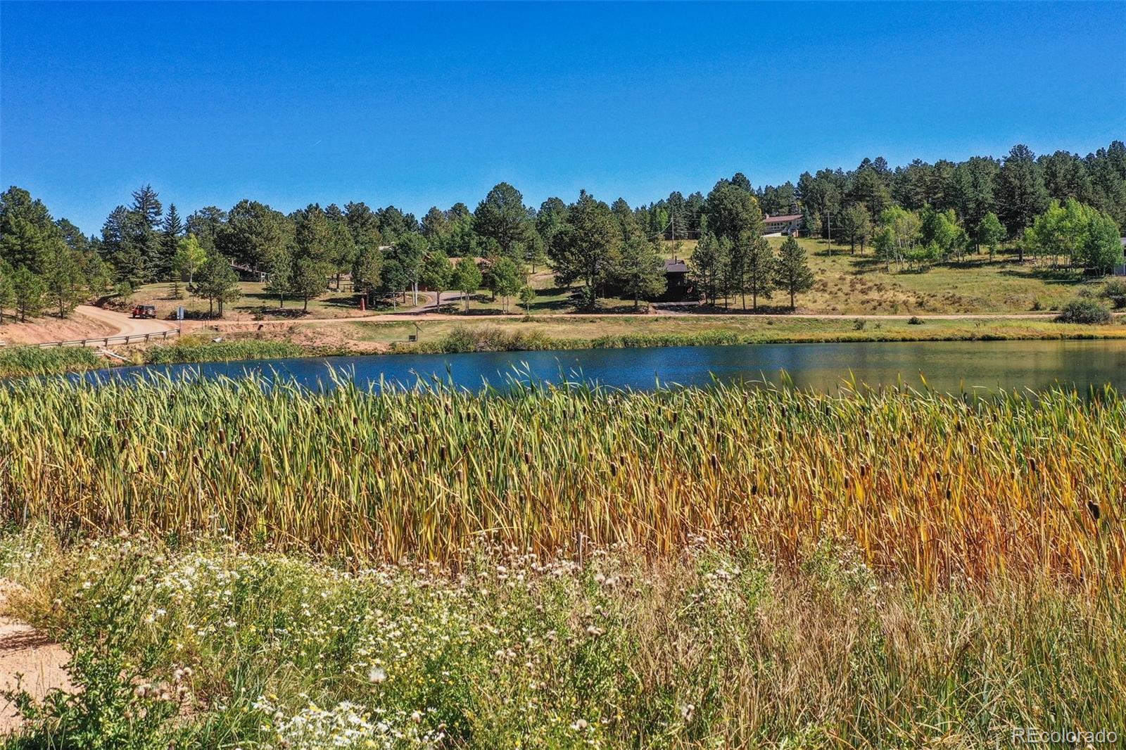 208 Illini Dr, Woodland Park, CO 80863