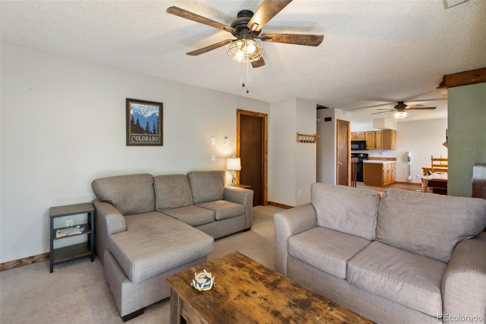 208 Illini Dr, Woodland Park, CO 80863