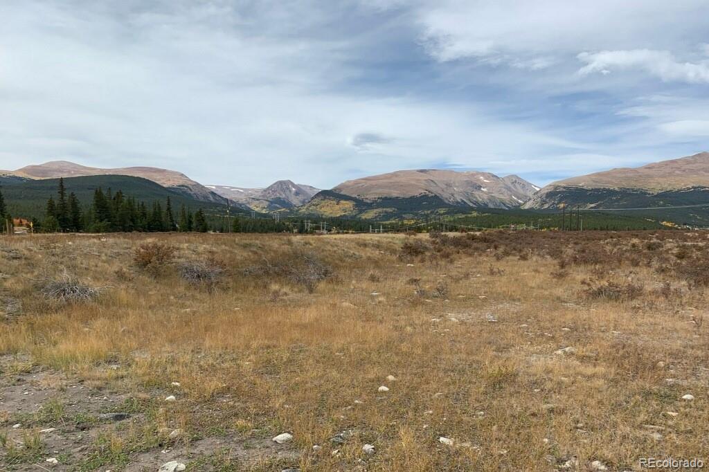 64 Glissade Trl, Alma, CO 80420