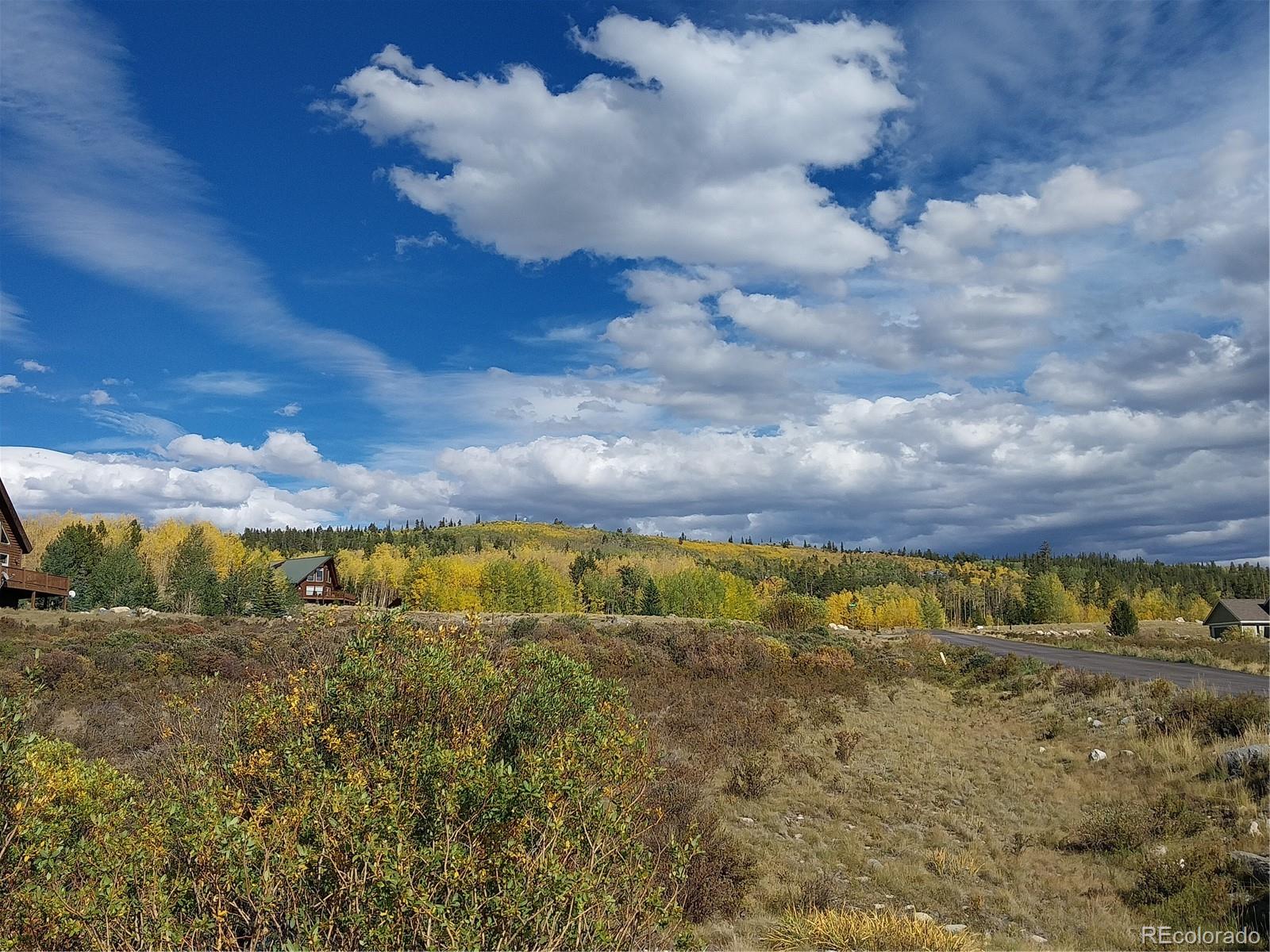 64 Glissade Trl, Alma, CO 80420