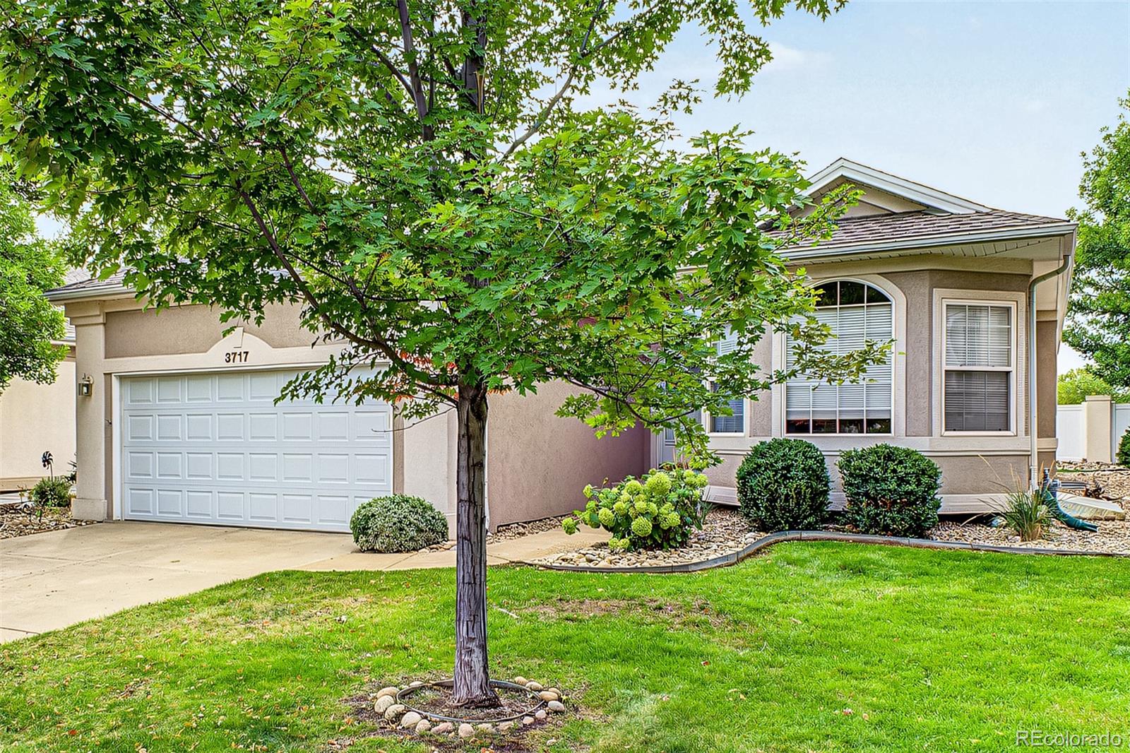 3717 Doral Dr, Longmont, CO 80503