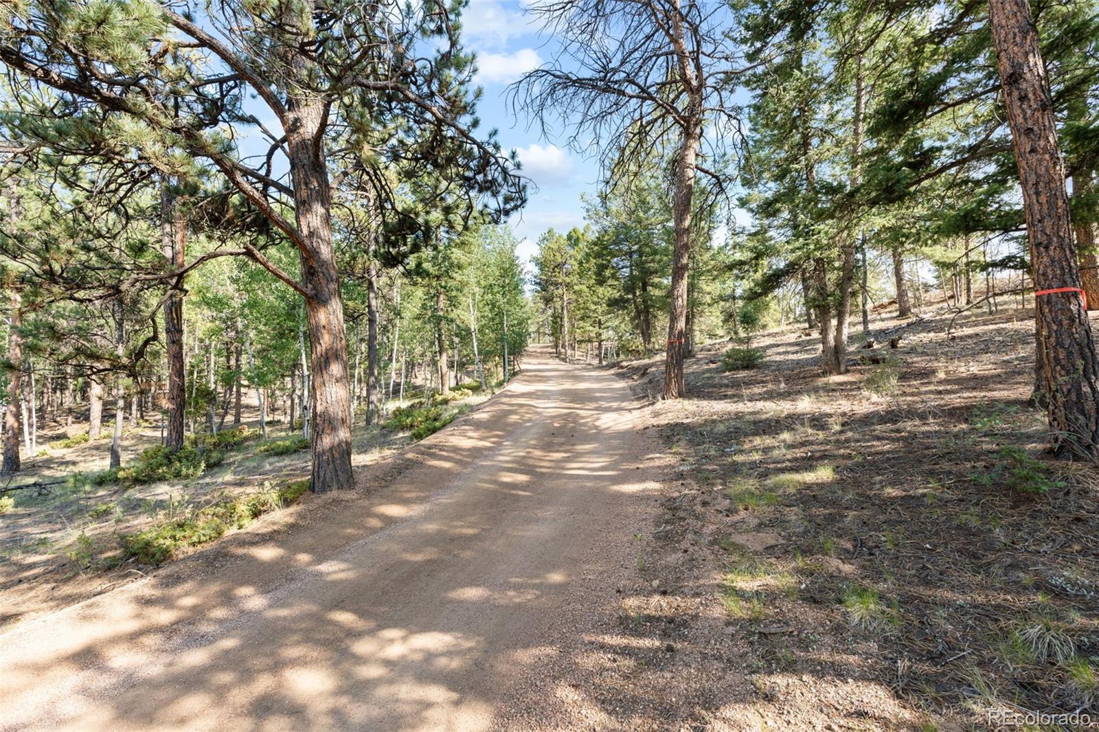 2270 Pikes Peak Dr, Florissant, CO 80816