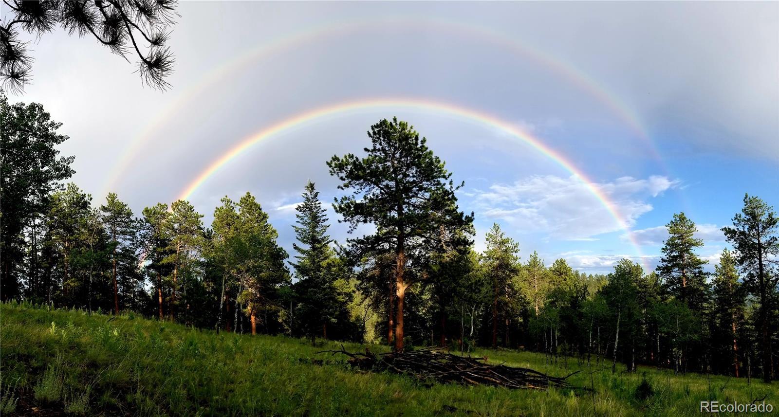 045336 S Elk Creek Rd, Pine, CO 80470