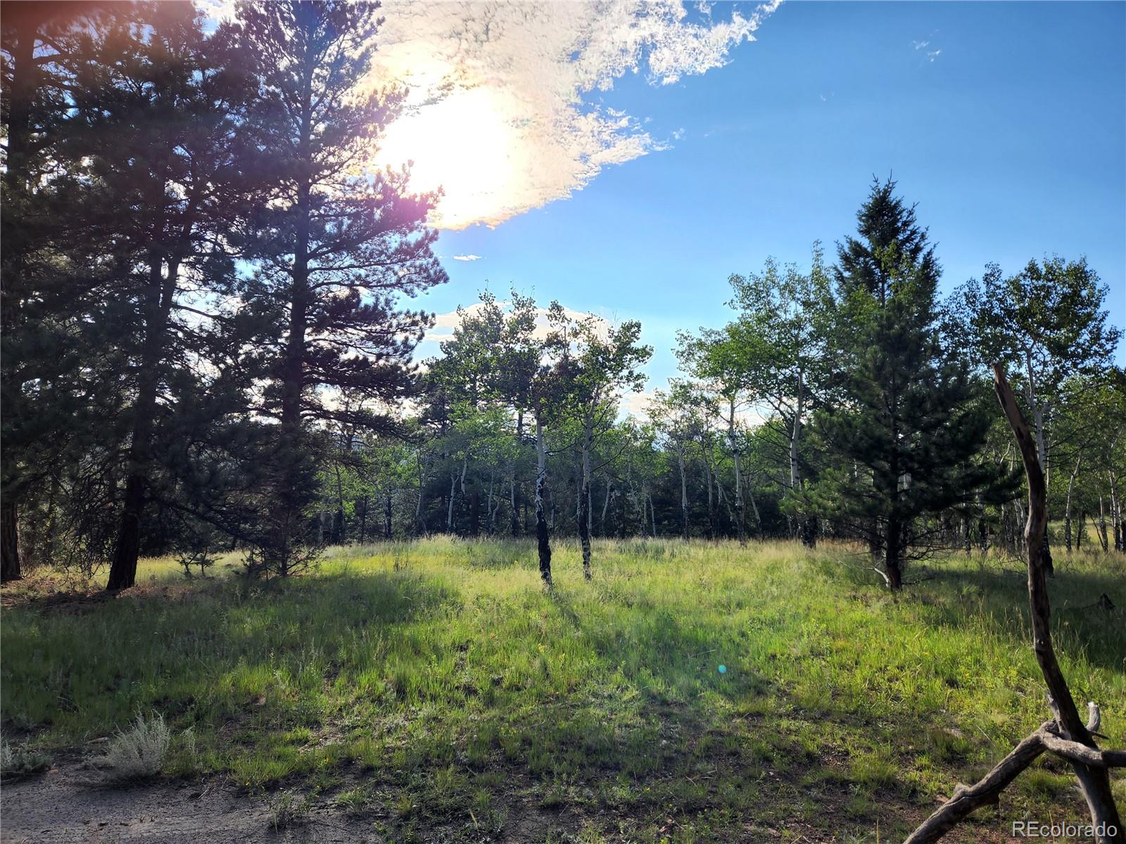 045336 S Elk Creek Rd, Pine, CO 80470
