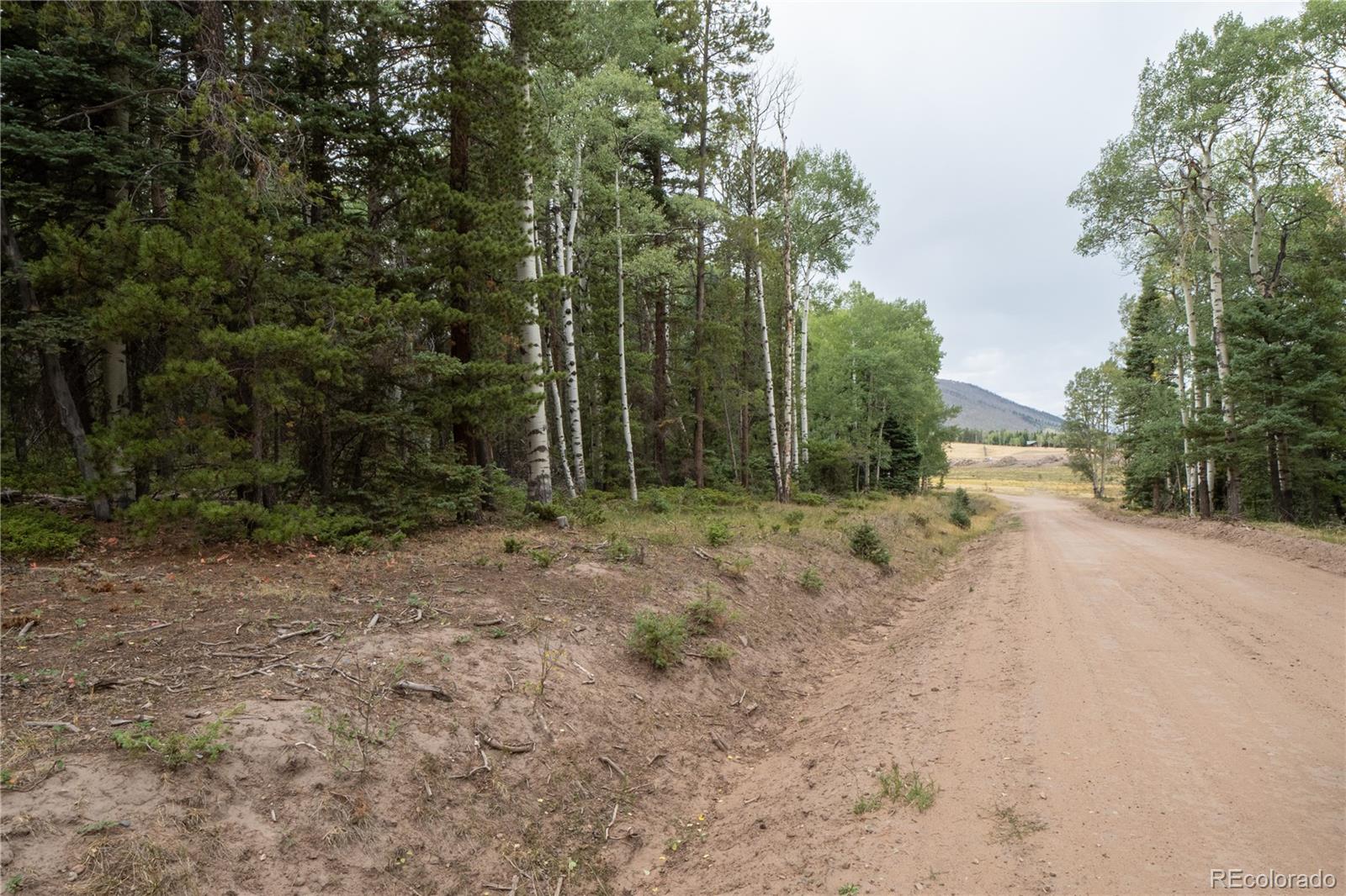 Lot 2915 Henderson Dr Lot 2915, Fort Garland, CO 81133