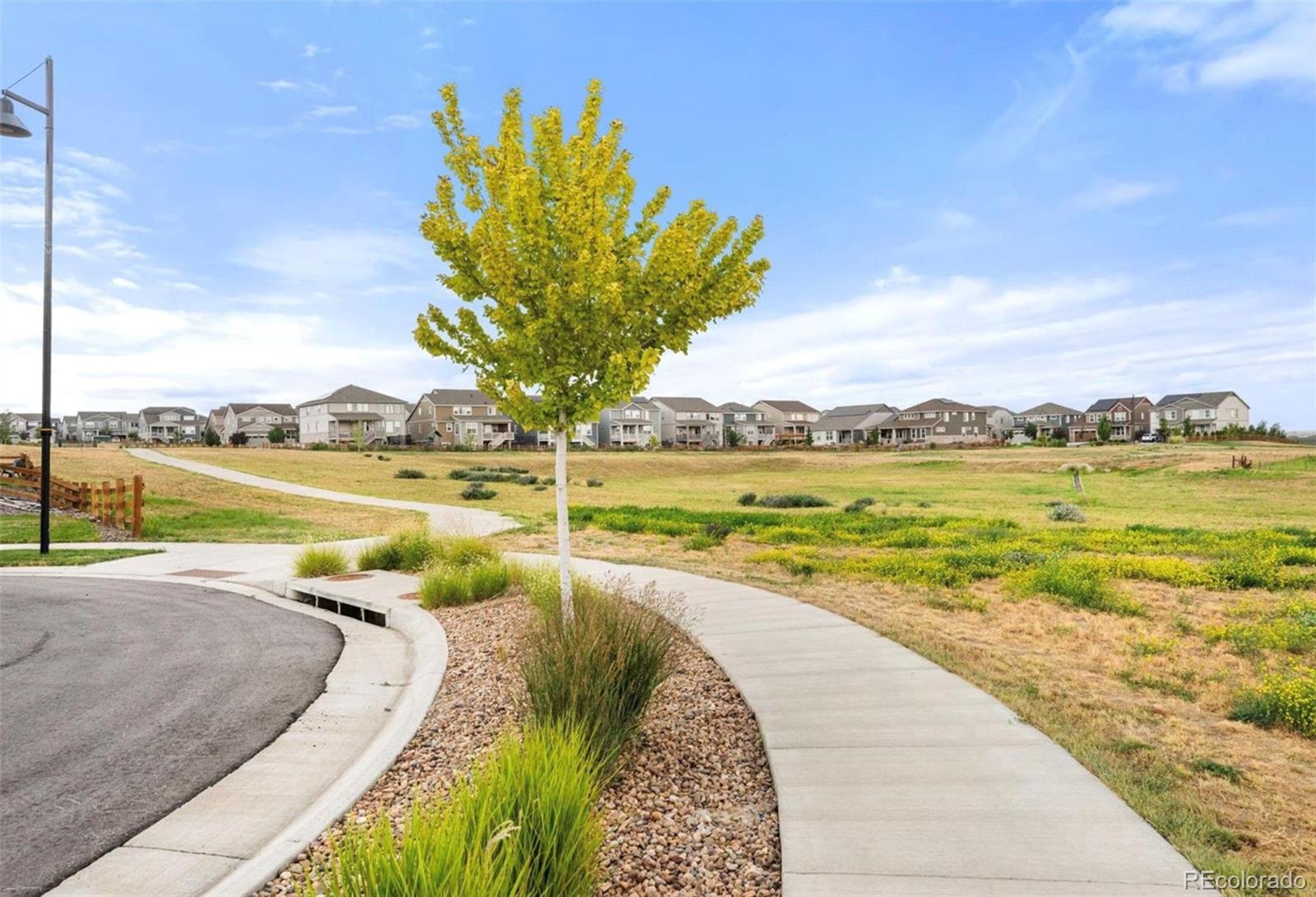 291 Marlowe Dr, Erie, CO 80516
