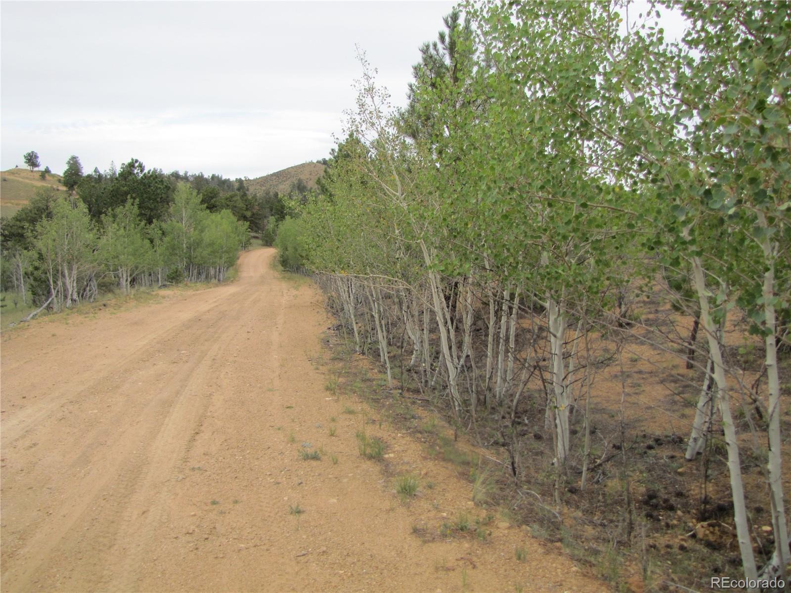 657 Pine Ln, Hartsel, CO 80449