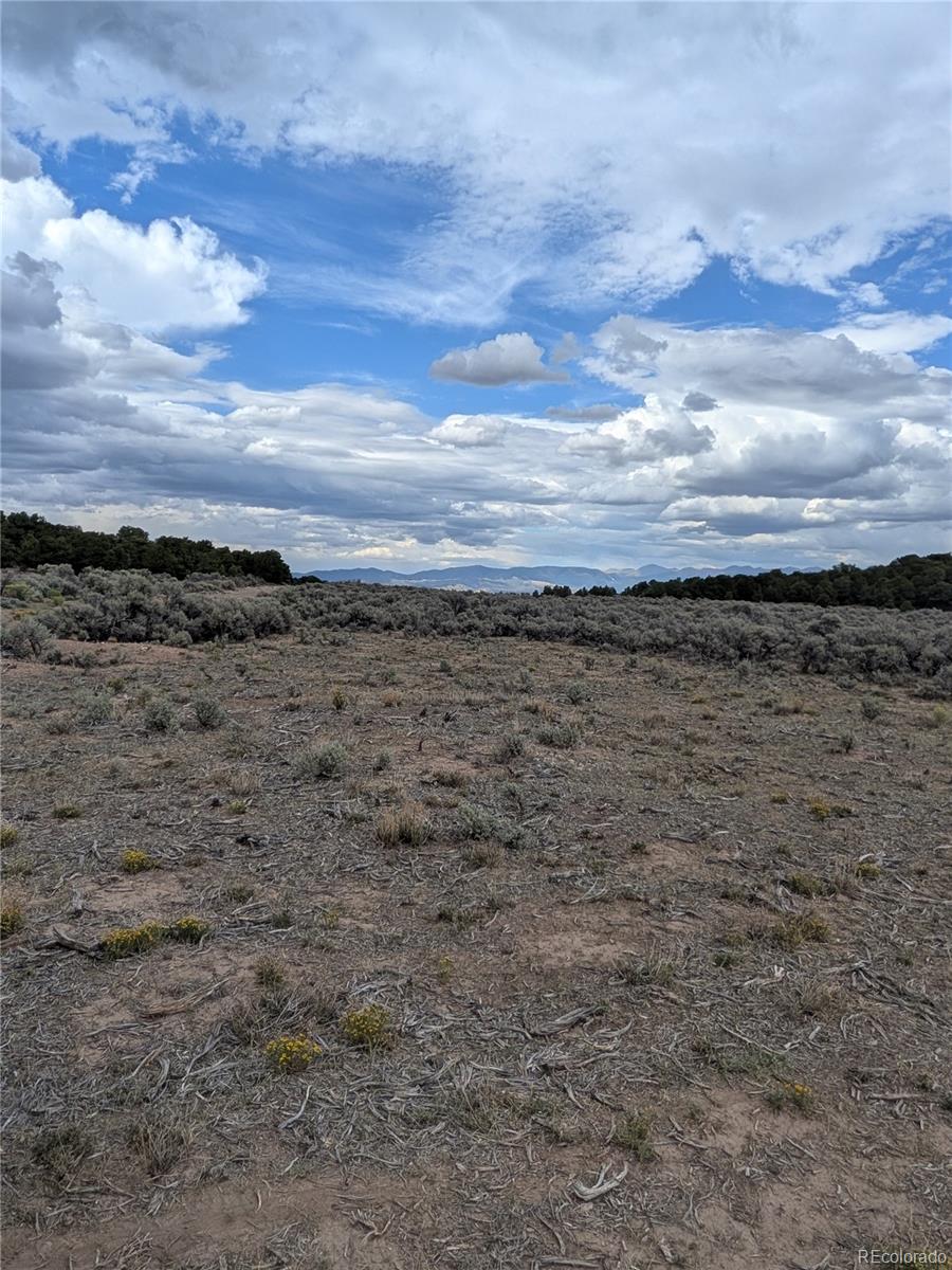 Lot 42 Big Buck Trl Lot 42, San Luis, CO 81152