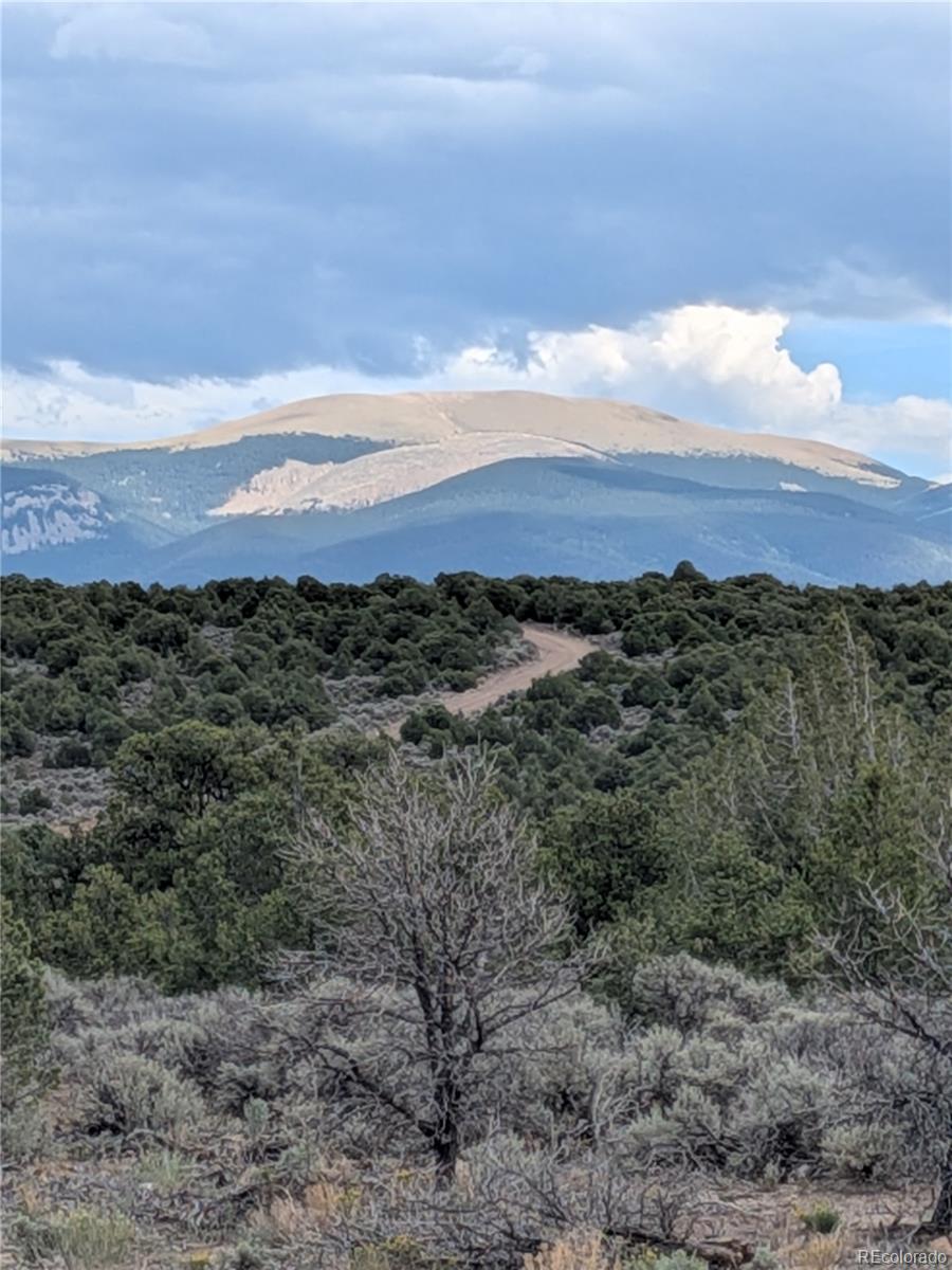 Lot 42 Big Buck Trl Lot 42, San Luis, CO 81152
