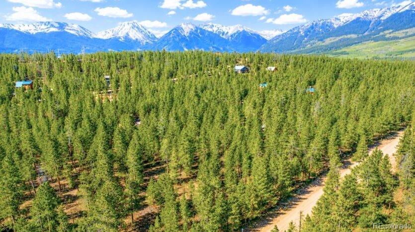 Lot 55 Lodgepole Dr Lot 55, Twin Lakes, CO 80461