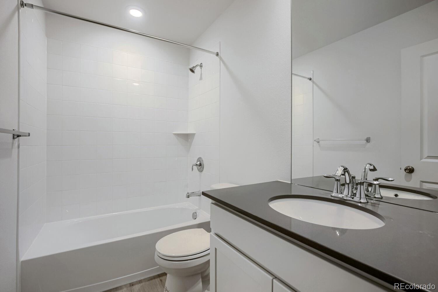6431 Masked Lark St, Fort Collins, CO 80528