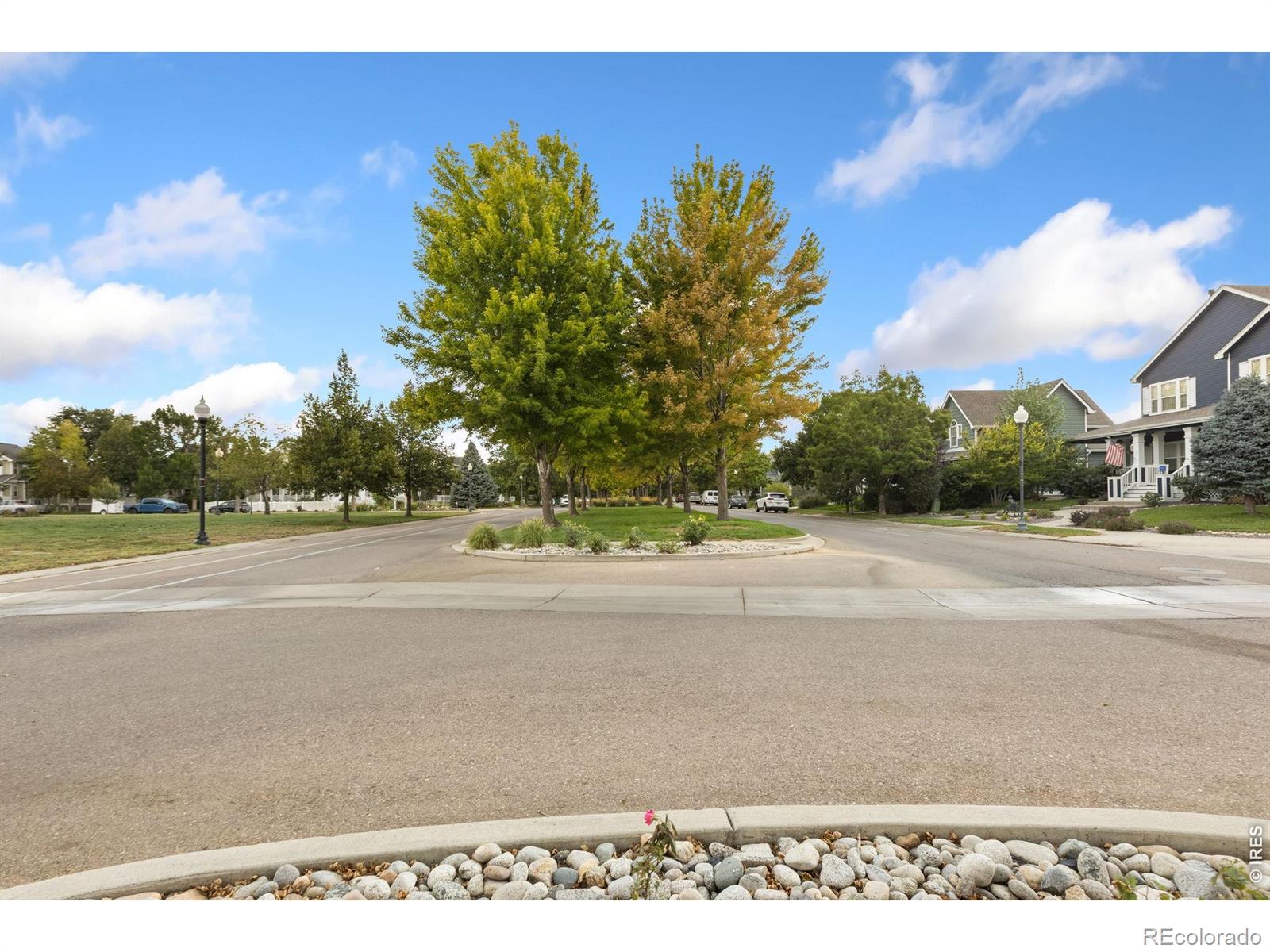 1114 Crescent Dr, Windsor, CO 80550