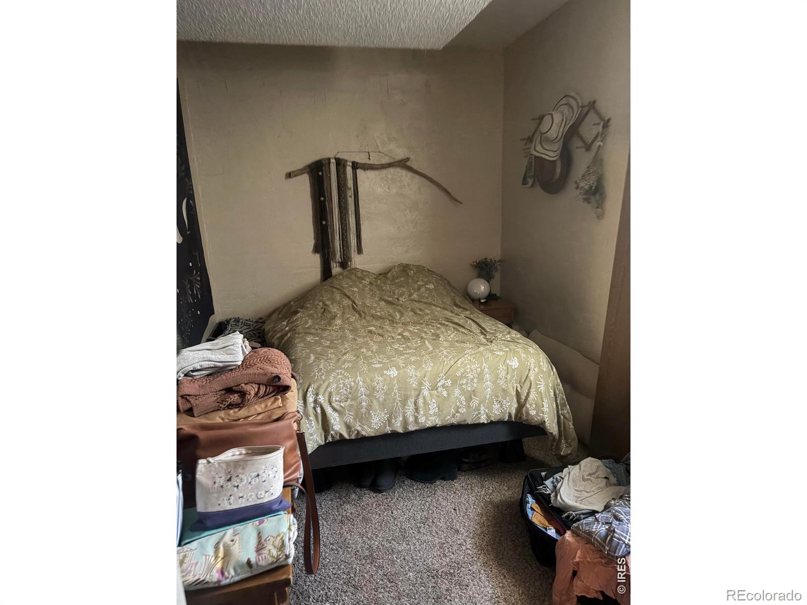 209 N Roosevelt Ave, Fort Collins, CO 80521
