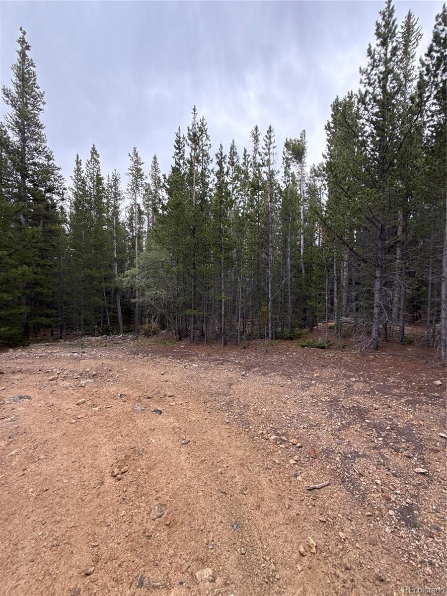 111 Green Ct, Idaho Springs, CO 80452