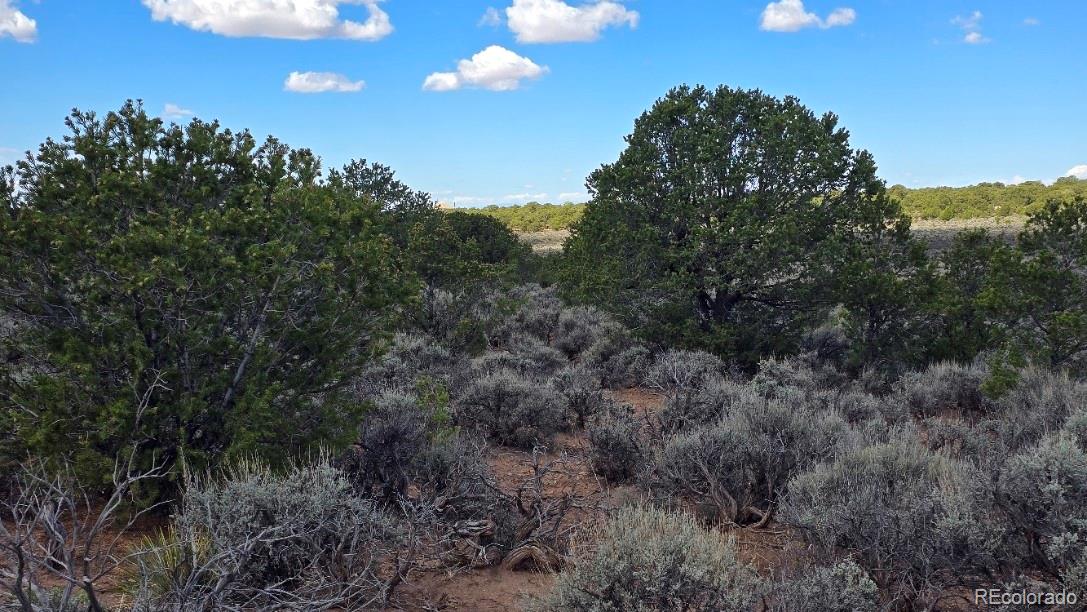 7028 Frelinghuysen Rd, Fort Garland, CO 81133