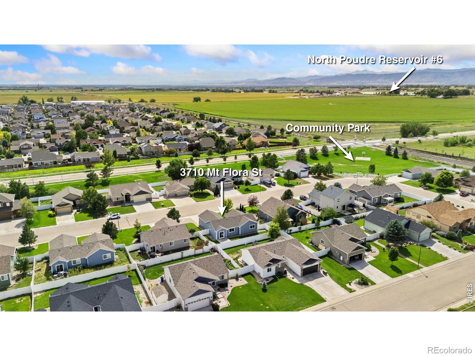 3710 Mount Flora St, Wellington, CO 80549