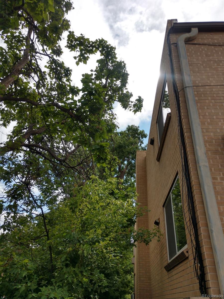 1151 N Marion St #303, Denver, CO 80218