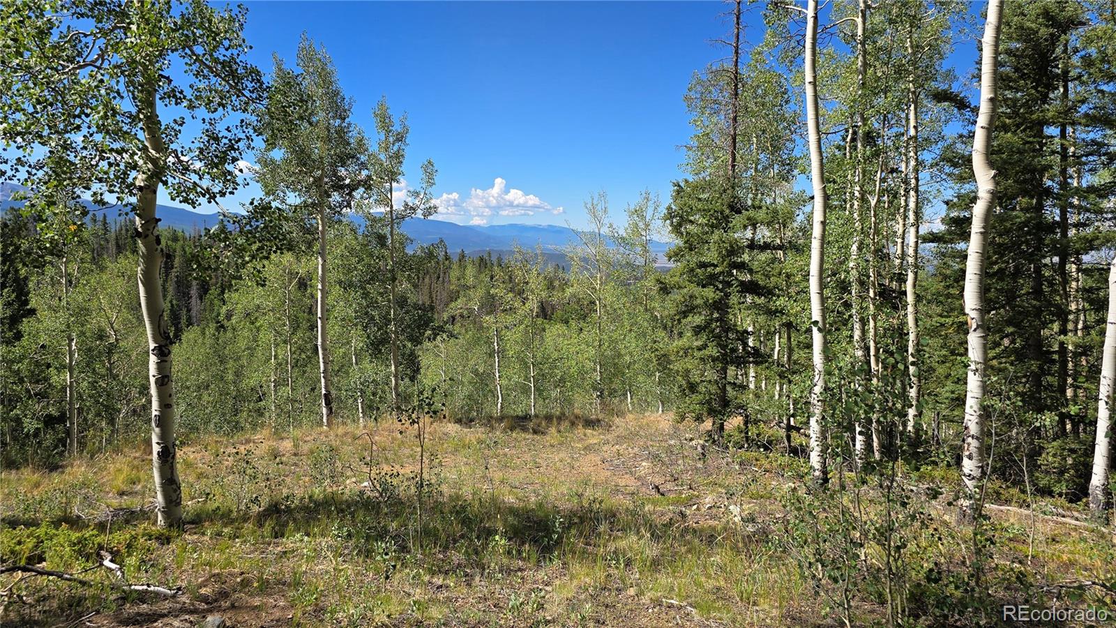 Lot 6174 Forbes Rd Lot 6174, San Luis, CO 81152