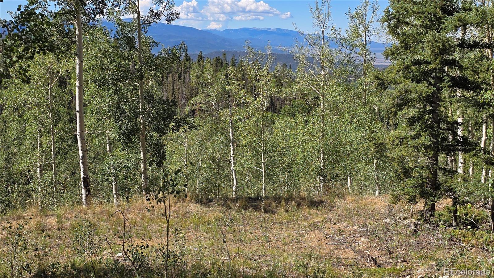 Lot 6174 Forbes Rd Lot 6174, San Luis, CO 81152