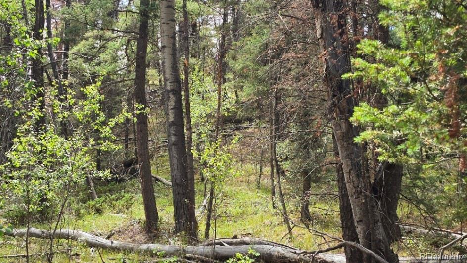 Lot 6269 Shioshita Rd Lot 6269, San Luis, CO 81152