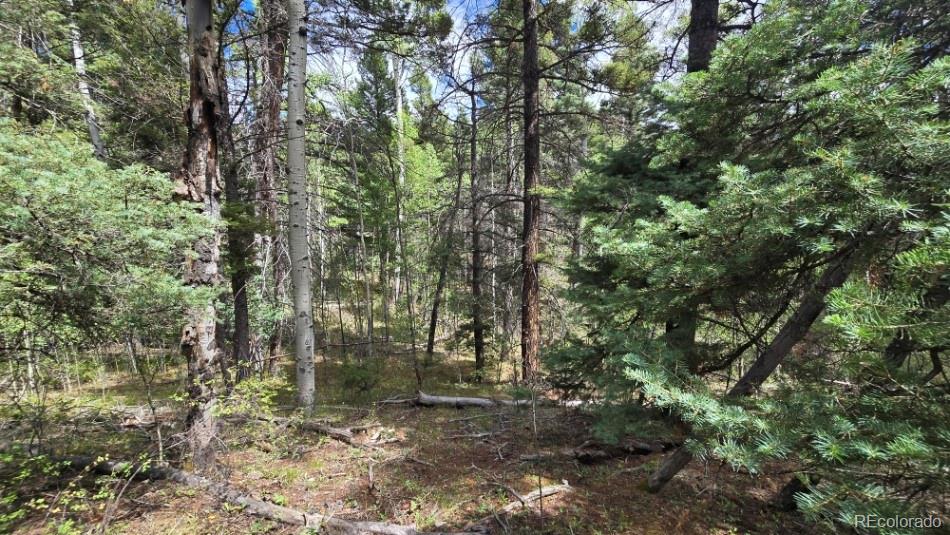Lot 6269 Shioshita Rd Lot 6269, San Luis, CO 81152