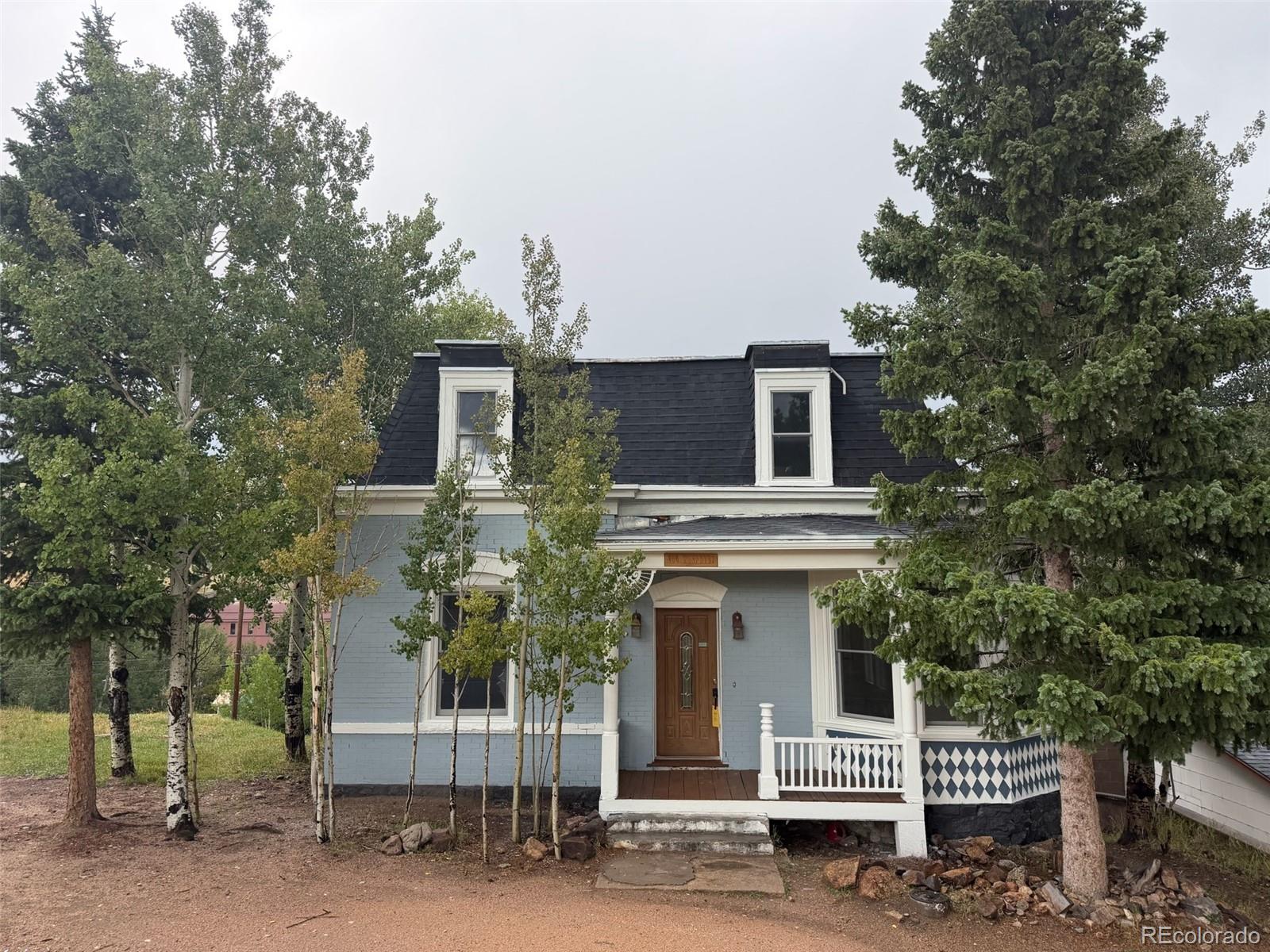 106 Porphyry St, Cripple Creek, CO 80813
