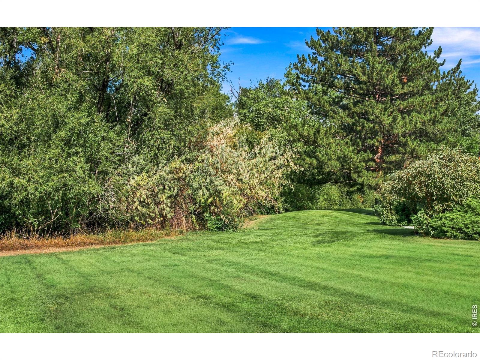 1239 Harrison Ct, Boulder, CO 80303