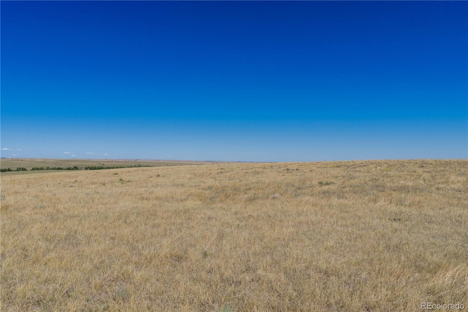 43924 Vega St, Kiowa, CO 80117