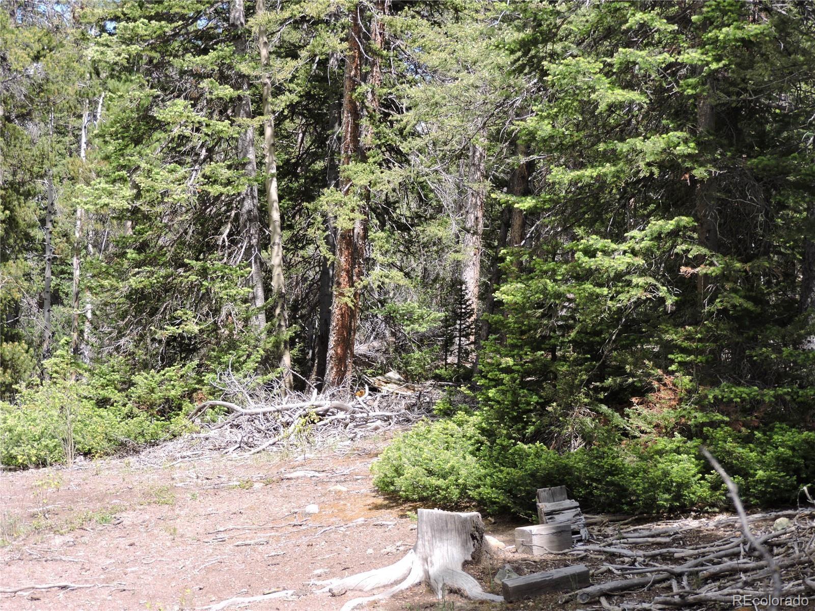 00 Georgia Pass Lookout, Jefferson, CO 80456