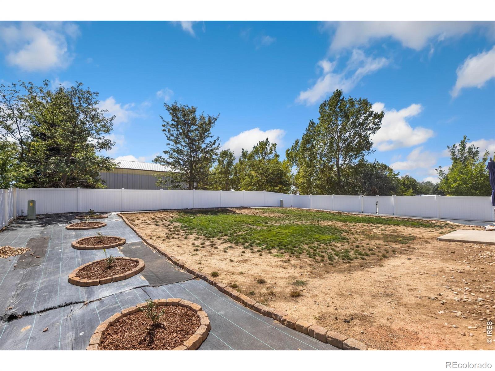 7720 Talon Pw, Greeley, CO 80634
