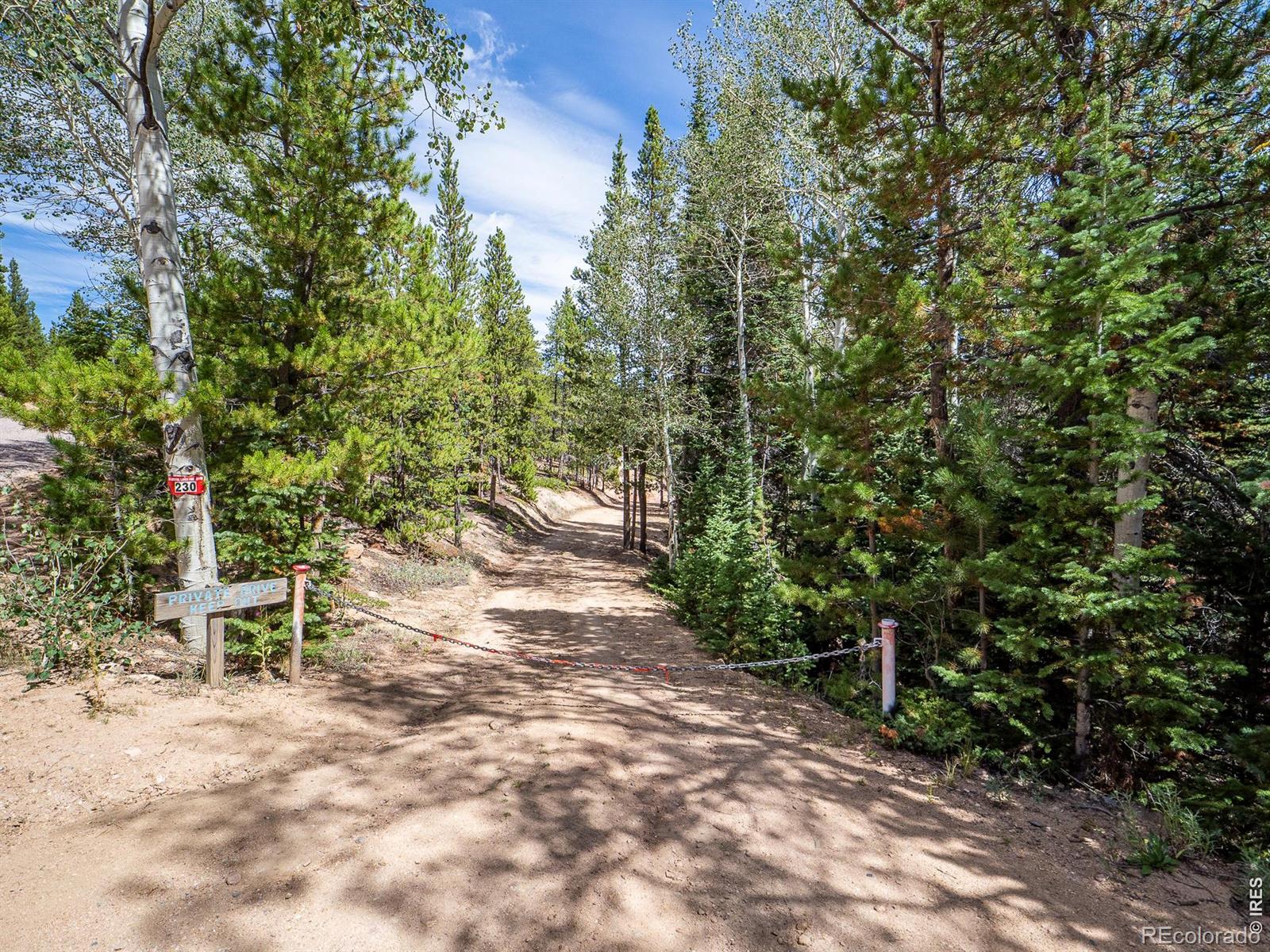 230 Hatchetumi Dr, Red Feather Lakes, CO 80545
