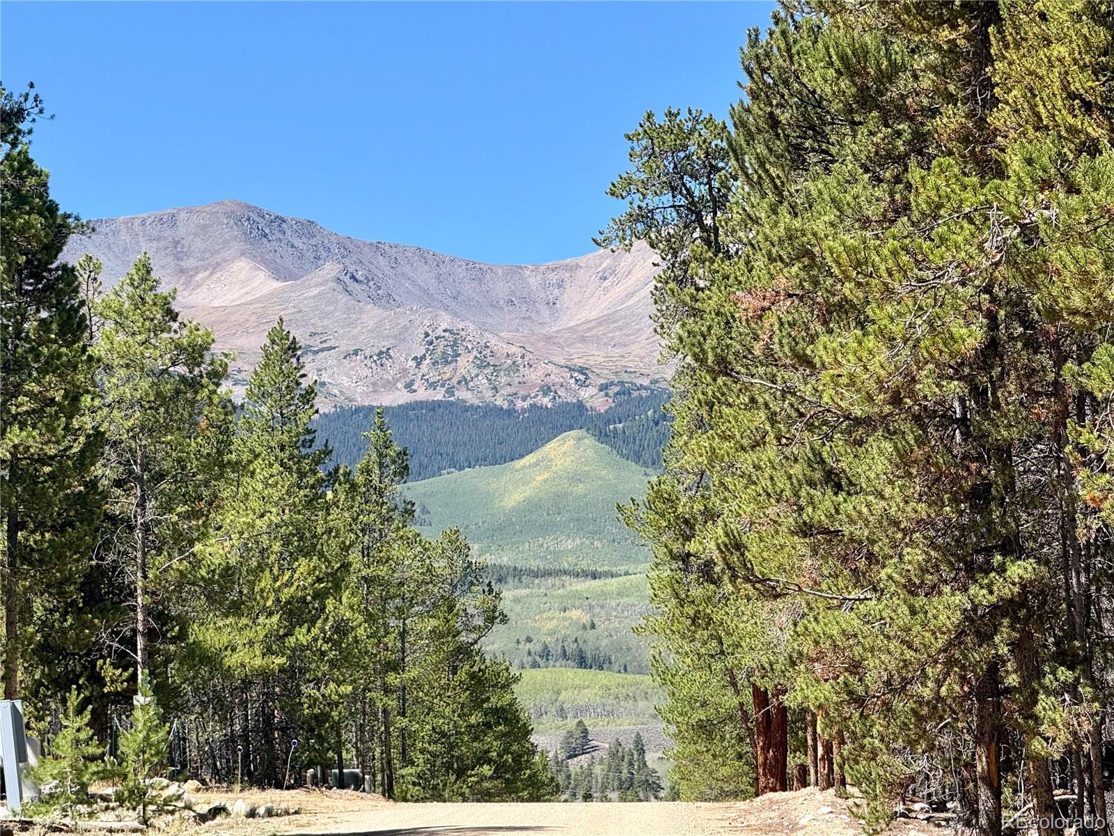 643 Spruce Dr, Twin Lakes, CO 80461