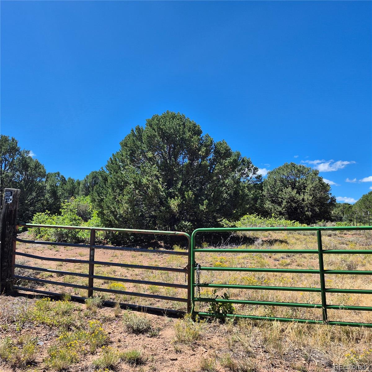 1620 Wildcat Canyon Rd, Montrose, CO 81403