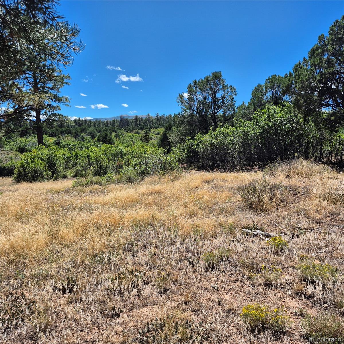 1620 Wildcat Canyon Rd, Montrose, CO 81403